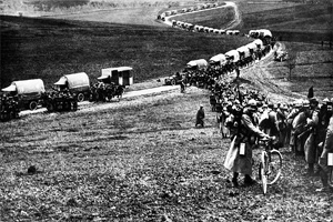 Первая мировая война. Маневры французской армии
