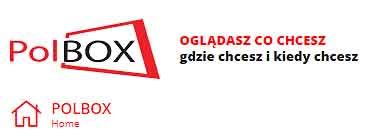 Polish TV channels: now available online
