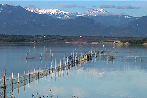 Пруд Урбино (Корсика)