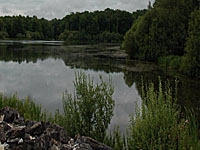 Пруд Шелуз (Центр-Долина Луары, Шер)