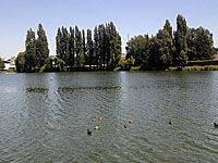 Пруд Дюк (Бретань, Морбиан, Ванн)