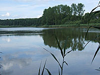 Пруд Ор (Шампань-Арденны, Об)