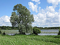 Озеро Гранд Льё (Земли Луары, Луара Атлантическая)