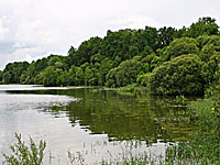 Озеро Гран Резервуар де Вьоро (Земли Луары, Луара Атлантическая)