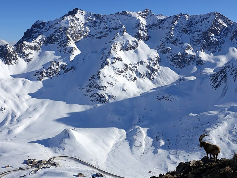 Национальный парк Экрен (Parc national des Écrins)