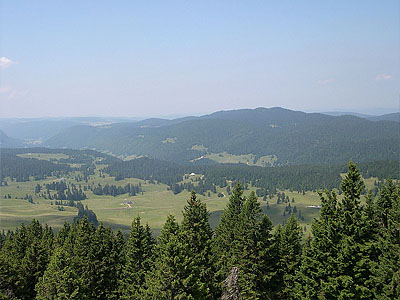 Гора Кре Пела (Crêt Pela): 1495 м