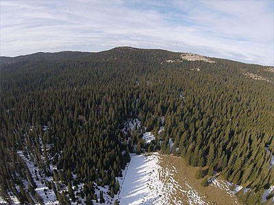 Гора Мон Пеле (Mont Pelé): 1532 м