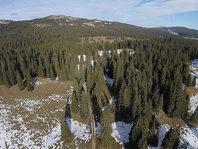 Гора Мон Сала (Mont Sâla): 1511 м