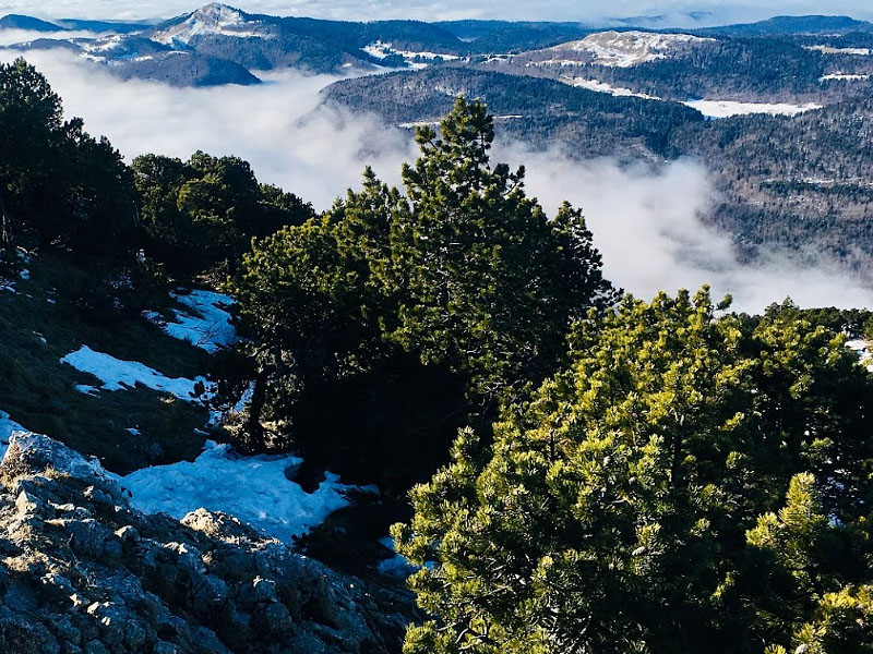 Горы Юра (Massif du Jura)