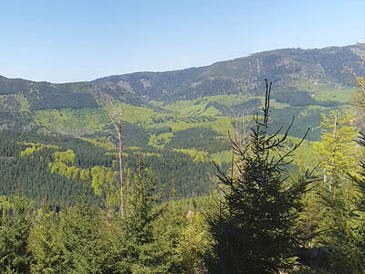 Северные Вогезы, Франция