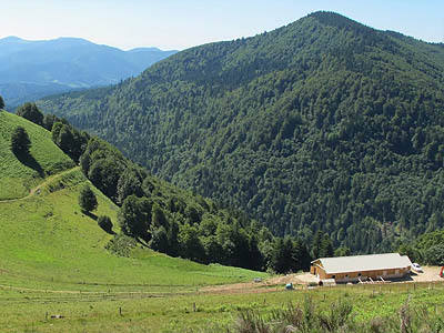 Южные Вогезы, Франция (панорама)
