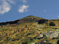 Гора Боренкопф (Вогезы)
