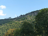 Гора Брезуар (Вогезы)