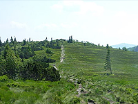Гора Газон дю Фэнь (Вогезы)
