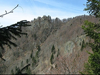 Гора Тет де Перш (Вогезы)