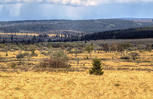 Гора Барак Мишель (Арденны)