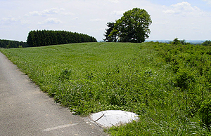 Гора Кнейф (Арденны)