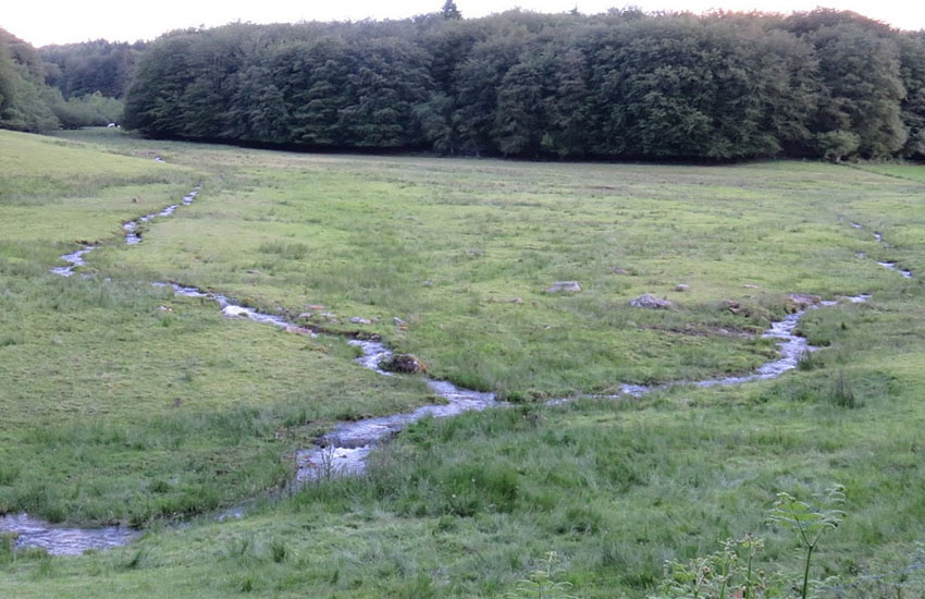 Исток реки Йонна (Yonne)