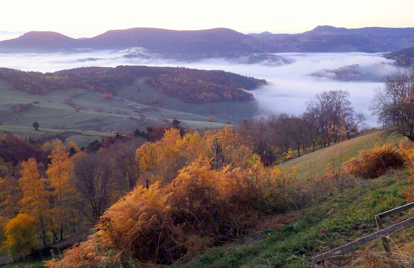 Южные Вогезы. Панорама