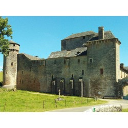 Замок де Бурин (Château des Bourines)