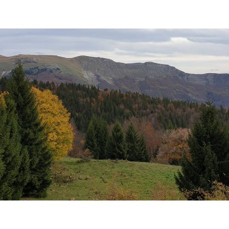 Региональный природный парк О Юра (Parc naturel regional du Haut-Jura)