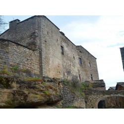 Замок в Кастельно-Пегероль  (Château de Castelnau-Pégayrols)