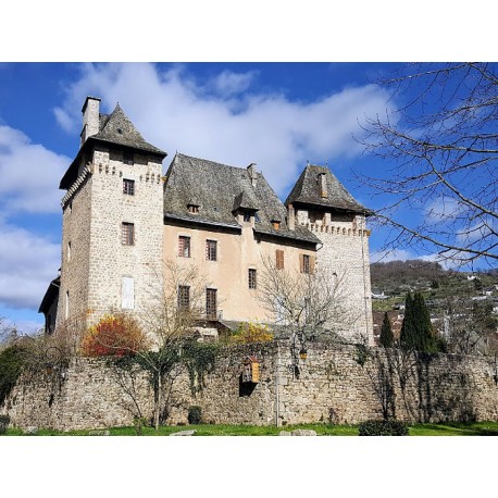 Замок Антрег (Château d'Entraygues)