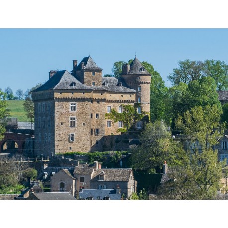 Замок Монрозье (Château de Montrozier)