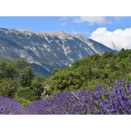 Региональный природный парк Баронь Провансаль (Parc naturel régional des Baronnies provençales)
