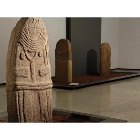 Музей Фенэй (Musée Fenaille): Родез, Авейрон