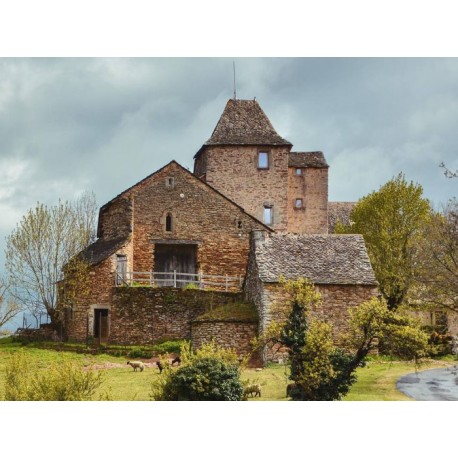 Замок Кейла (Château du Cayla)