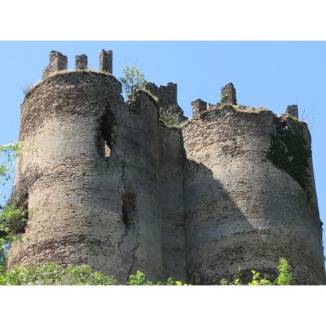Замок Румегу (Château de Roumégous)
