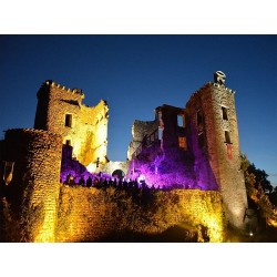 Замок Сен Мартен Лагепи (Château Saint Martin Laguépie)