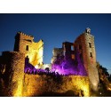 Замок Сен Мартен Лагепи (Château Saint Martin Laguépie)