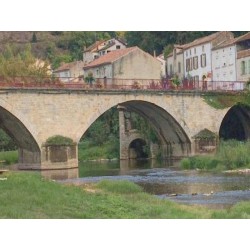 Мост Пон Сен-Мартен-Лагепи  (Pont Saint-Martin-Laguépie)