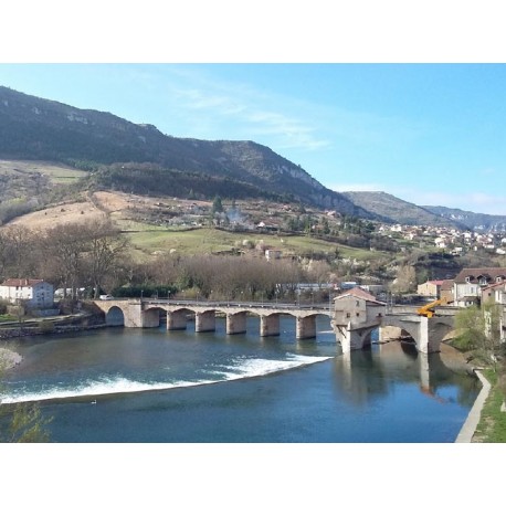 Мост Пон-Вьё Мийо (Pont-Vieux de Millau)