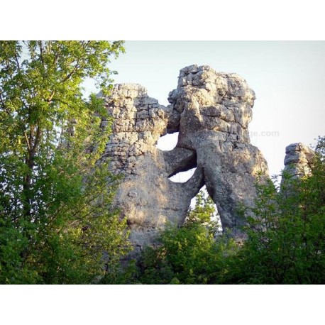 Лес Пайолив (Bois De Paiolive)