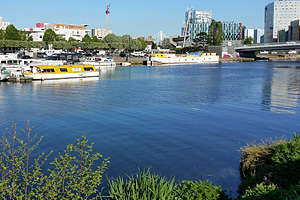Река Луара (Loire) в Нанте