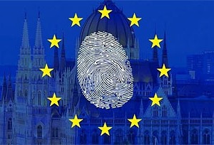 Визовая информационная система (ВИС)